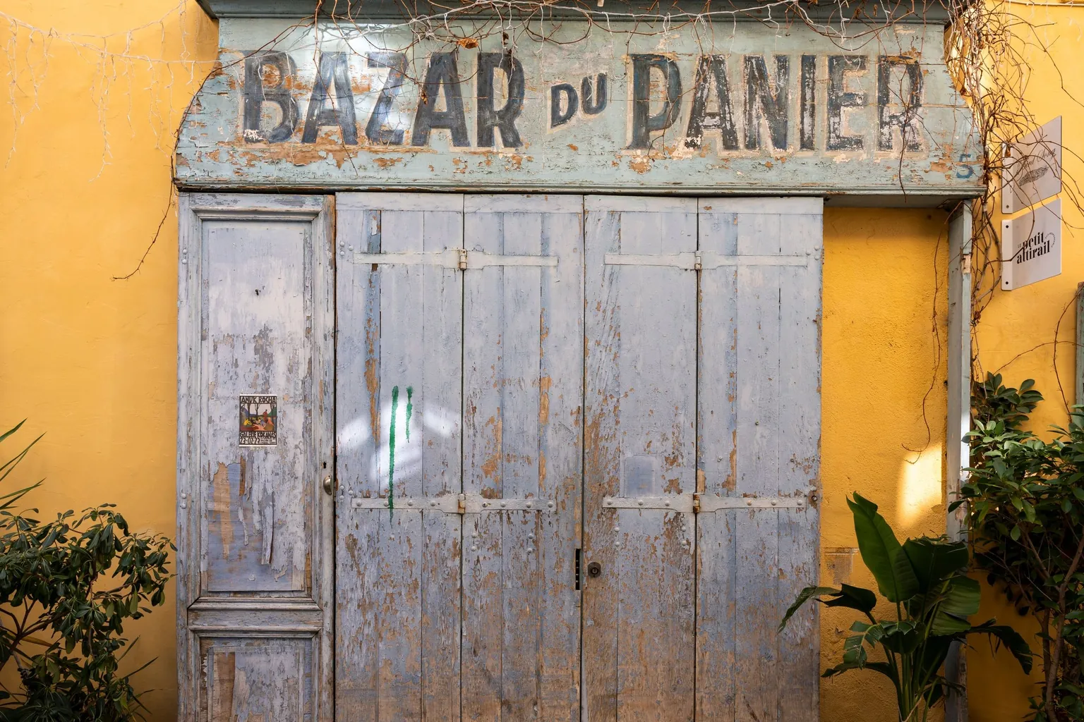 Vieille devanture en bois peint « Bazar du Panier » sur une façade jaune, entre deux plantes vertes