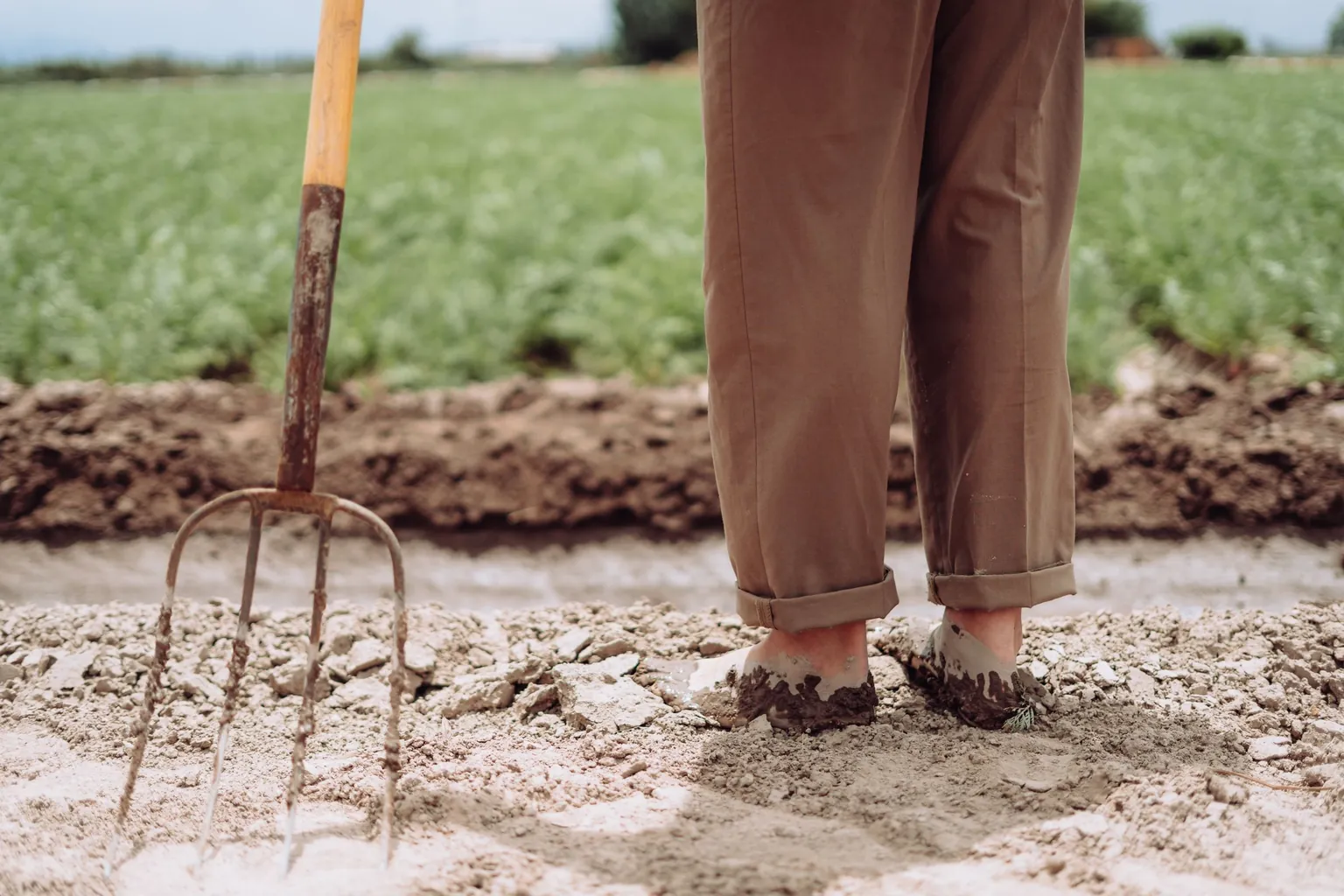 Fourche-bêche plantée dans une terre sèche à côté d'un jardinier pieds nus, au bord d'une culture