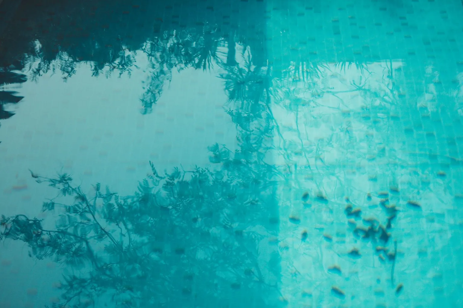 Reflets d'arbres sur l'eau turquoise d'une piscine, avec des feuilles tombées au fond du bassin