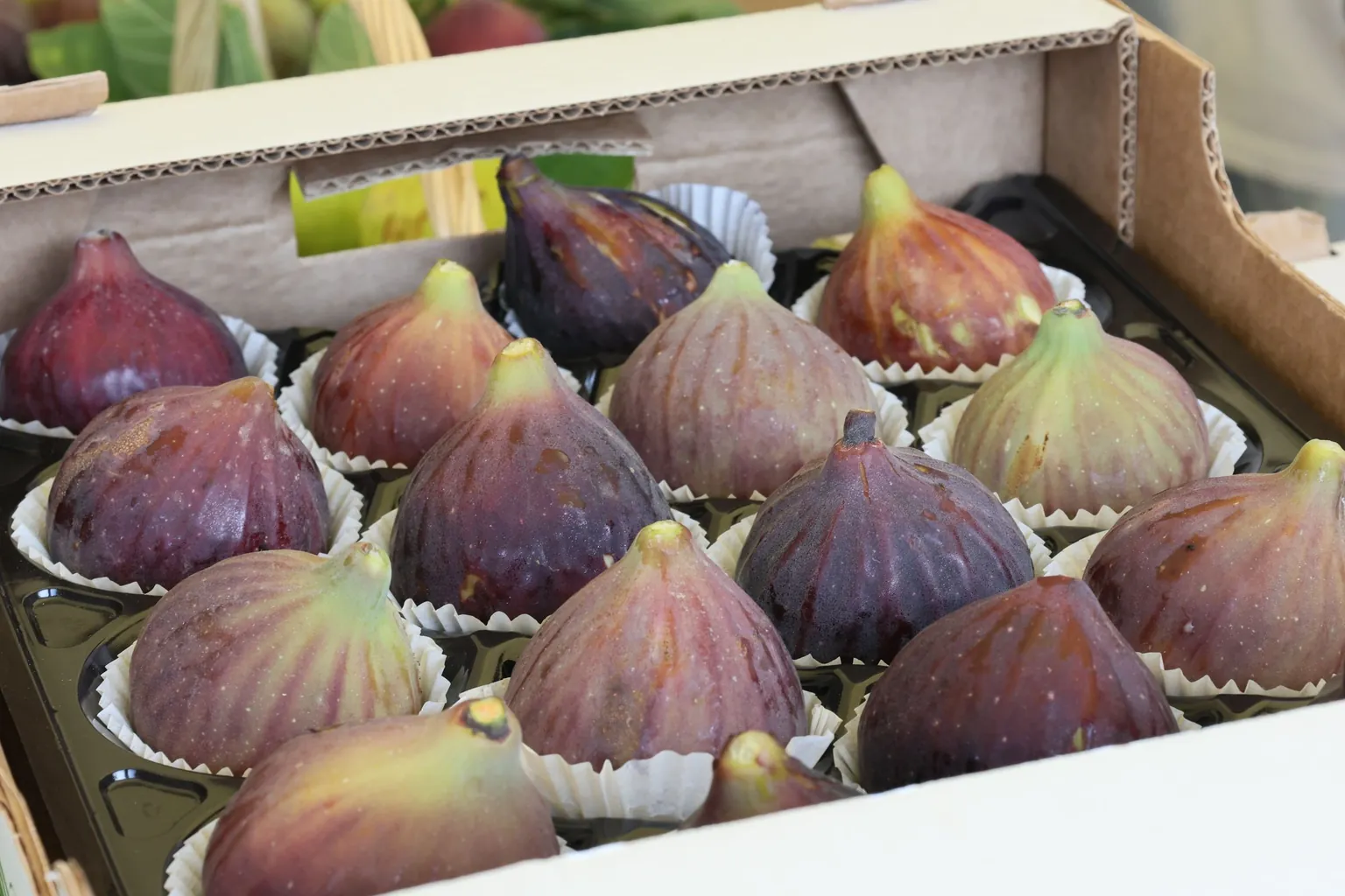 Figues violettes fraîches rangées en alvéoles dans un carton de vente